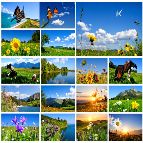 Pele-mele des tirages de photoshop camara dax